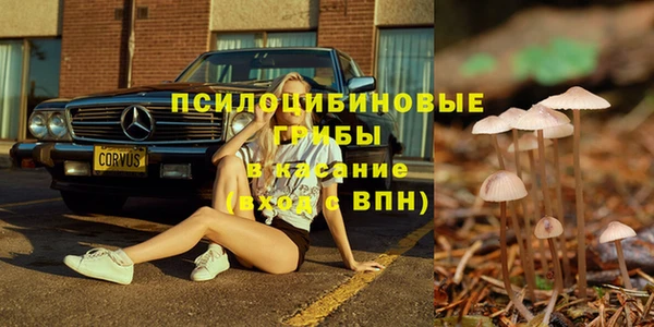тгк Зеленокумск