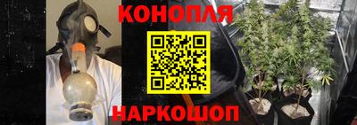 стаф Кулебаки