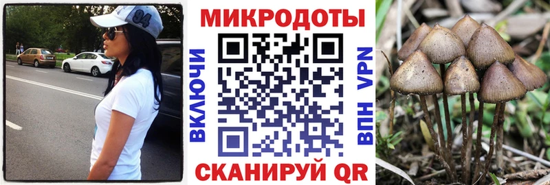 кракен как войти  это формула  Знаменск  Псилоцибиновые грибы Cubensis  как найти наркотики 
